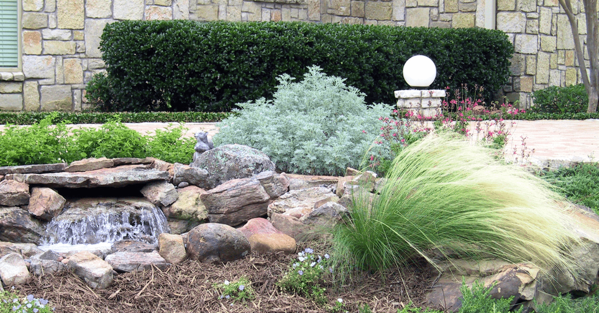 Plants and features that are for xeriscaping.