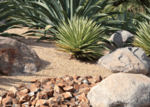 Plants and features that are for xeriscaping.