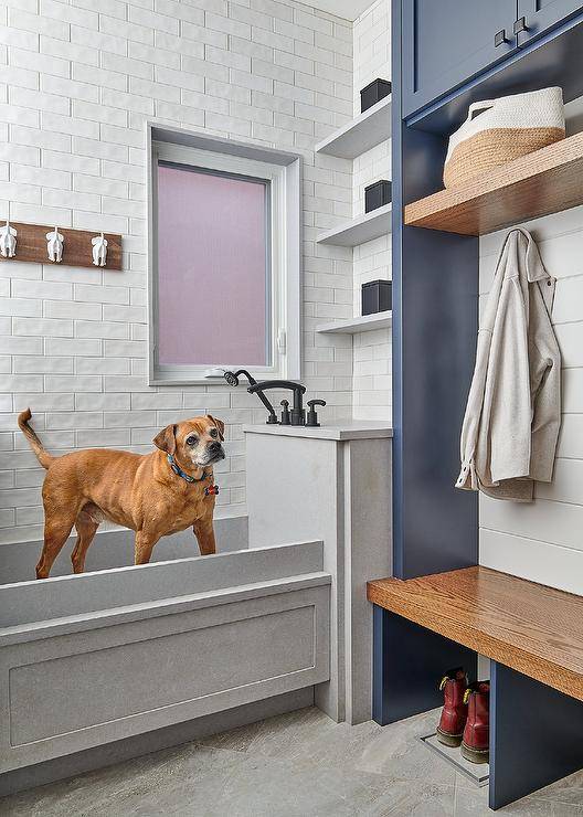 Blue and white mudroom features a gray dog shower under dog tail hooks mounted on white glazed offset tiles and blue cabinets over a wooden bench.