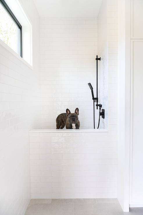 A white subway tiled raised dog shower is contrasted with a matte black modern shower kit.