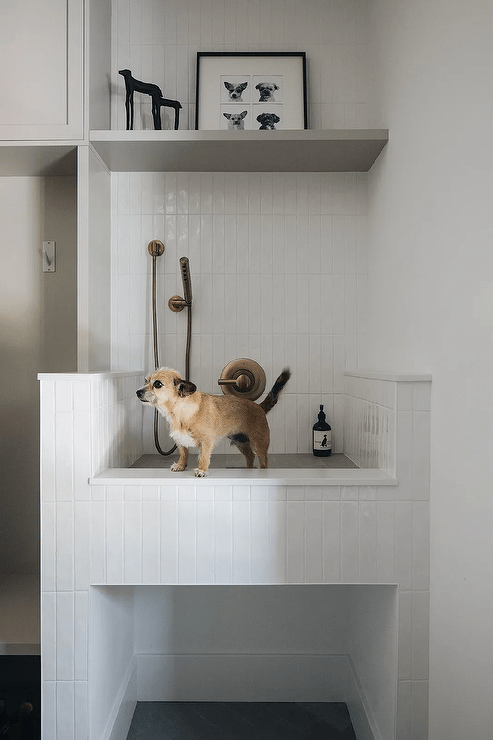 Dog friendly mudroom boasts a raised dog shower finished with white vertical stacked tiles and a brass sprayer.