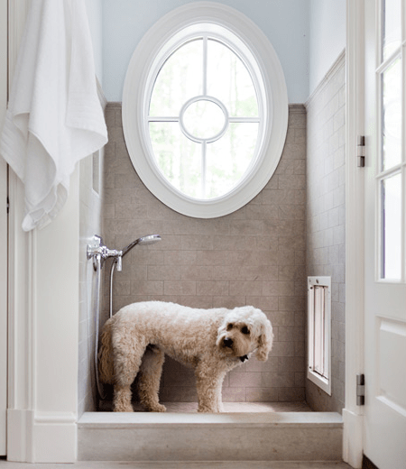 Mud room dog shower with pale blue paint color paired with tumbled tile shower surround. Oval mud room shower window shaped like porthole and polished nickel shower kit.