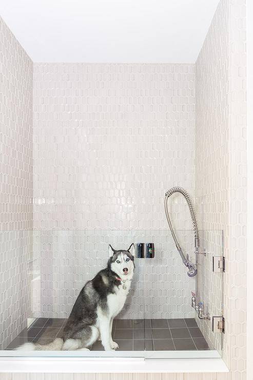 Dog shower is clad in beige picket surround tiles complemented with black grid floor tiles and is finished with a glass door.