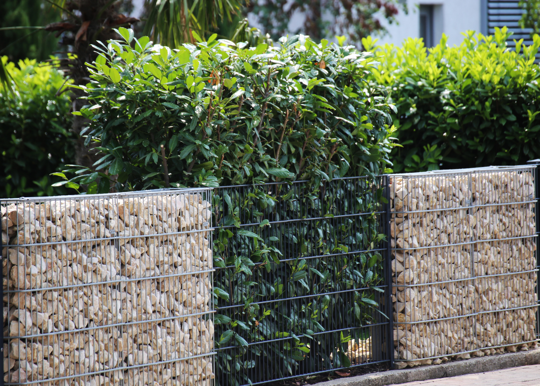 gabion wall for privacy