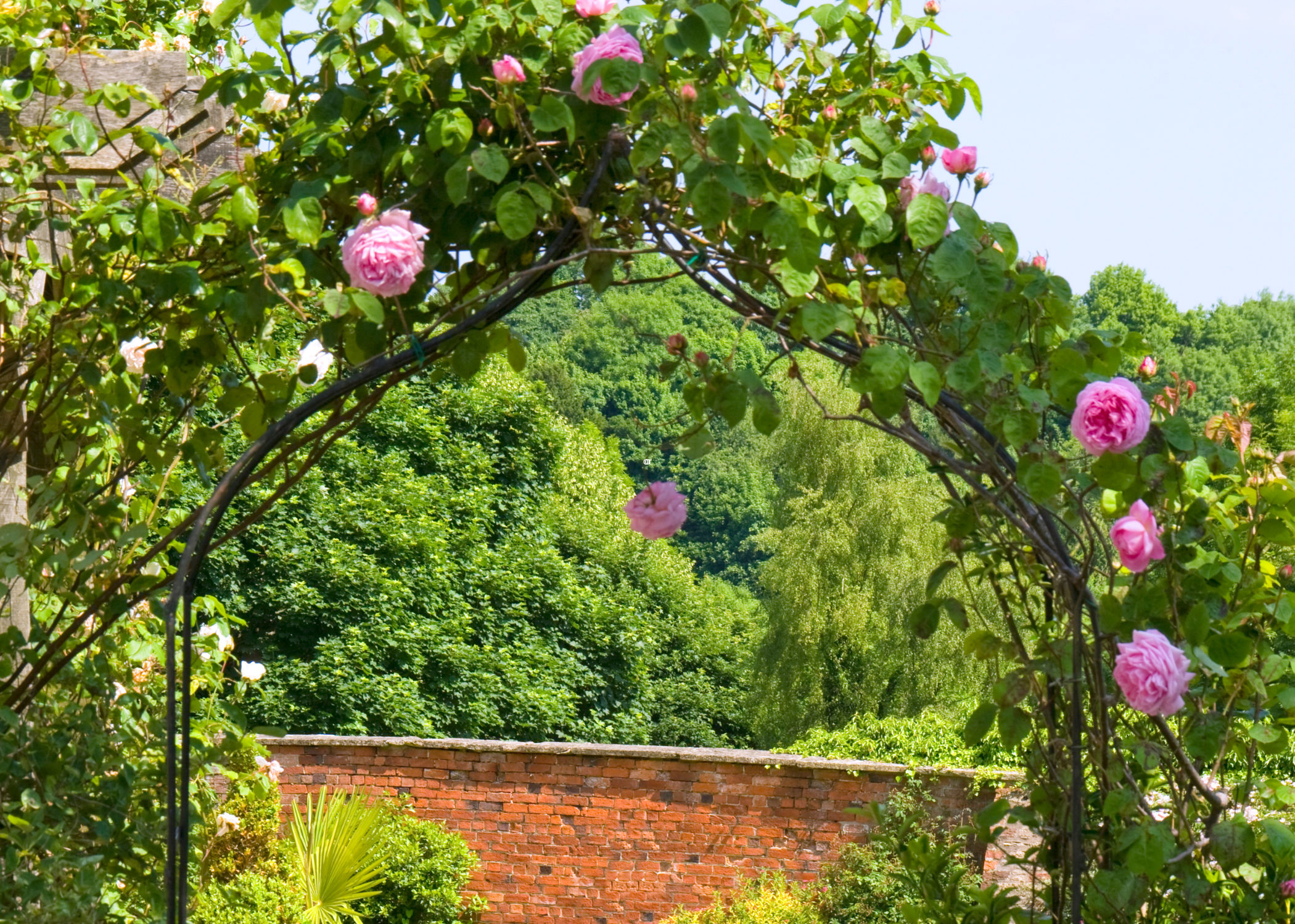 Metal garden arch.