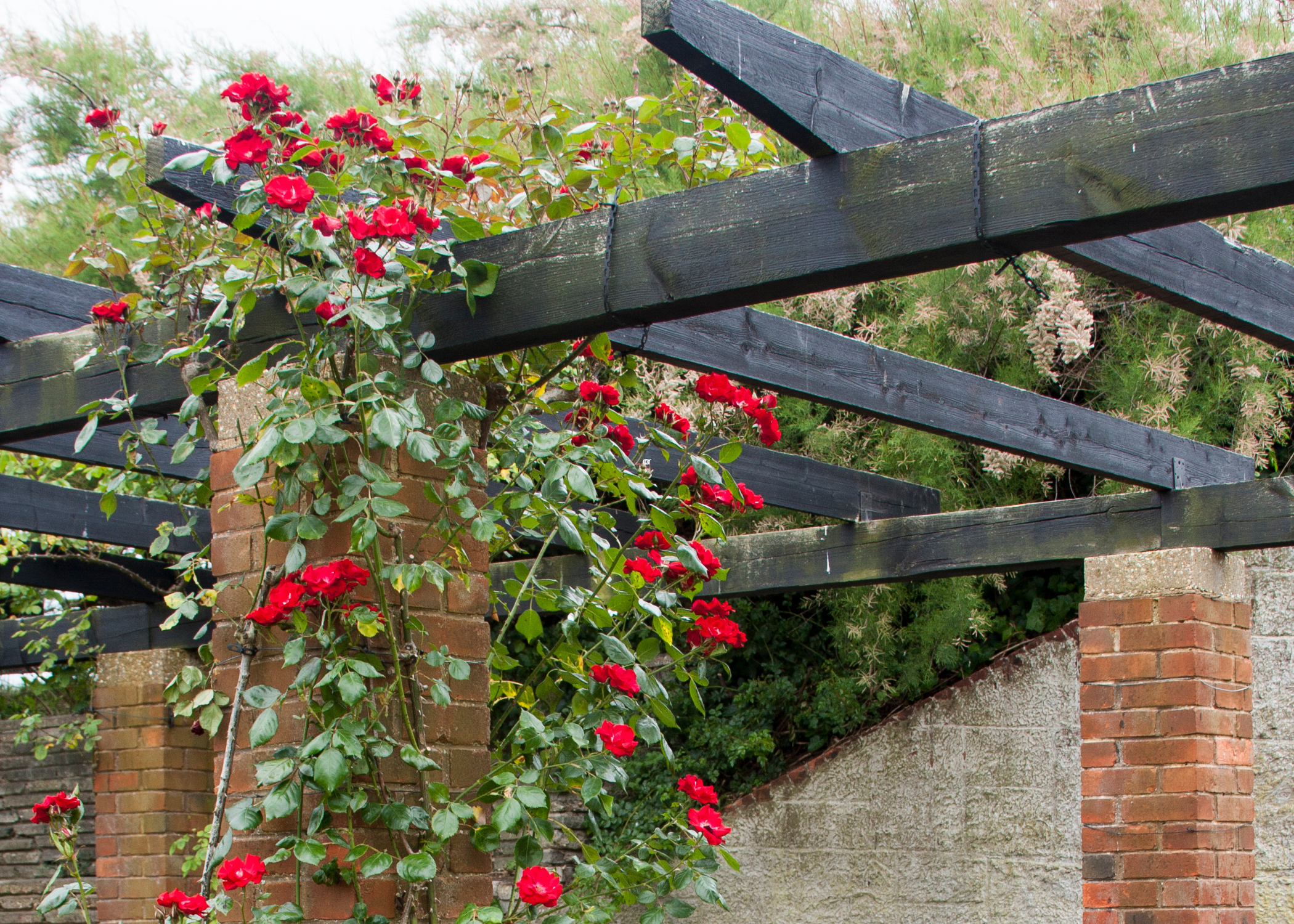 Black wooden garden arch