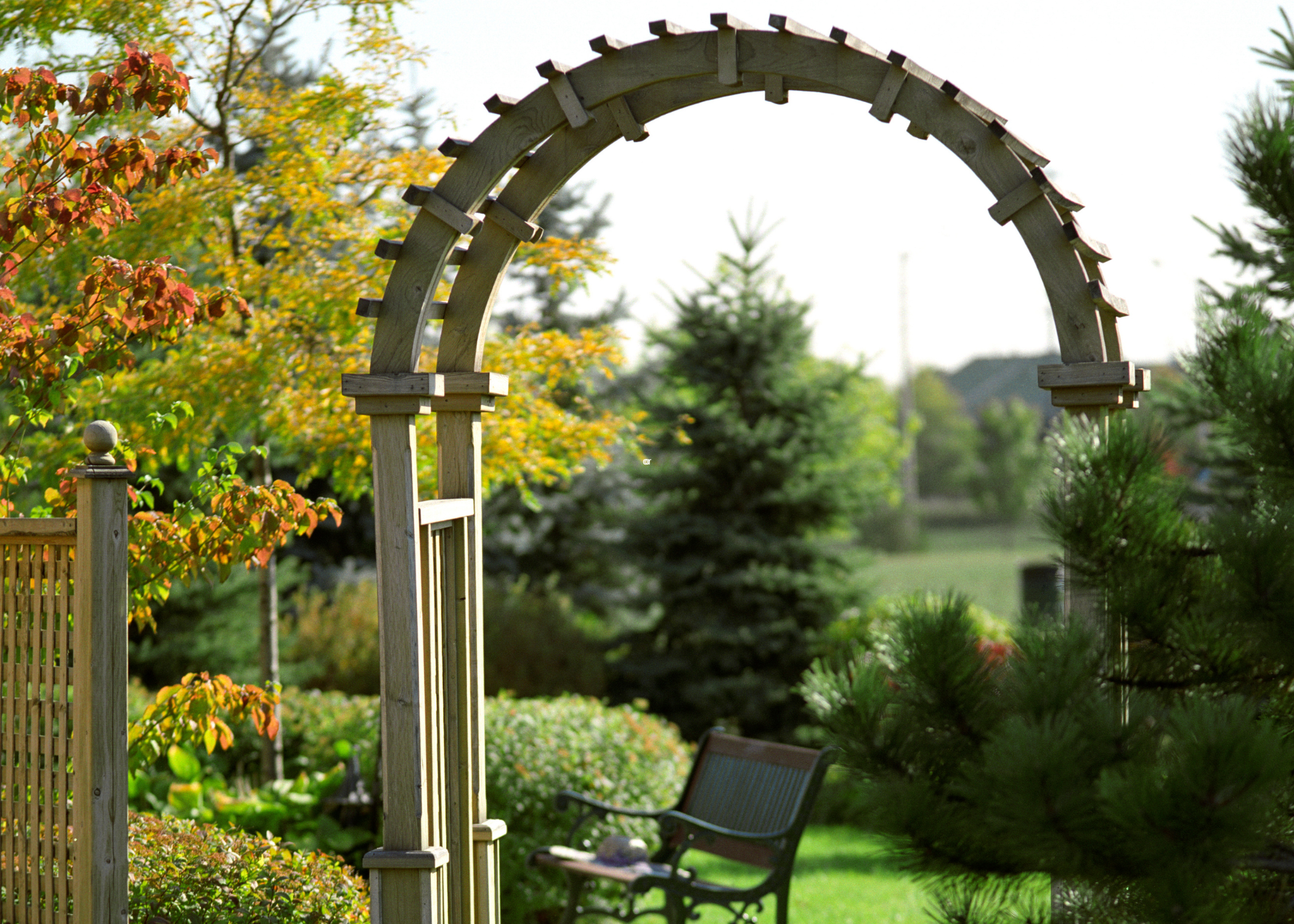 Tall wooden garden arch.