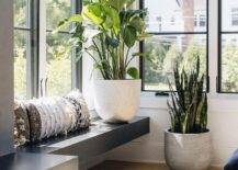 Chic entry features a modern black oak built-in window seat topped with a black, white, and cream lumbar pillow and a large potted plant.