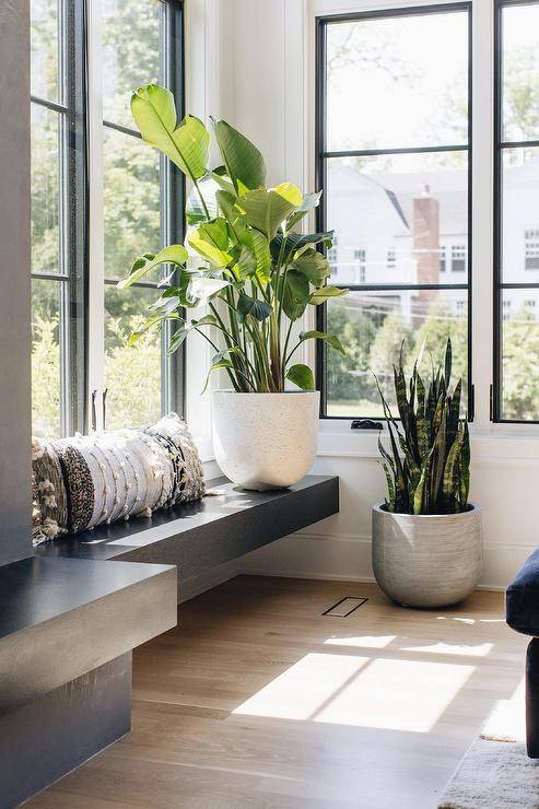 Chic entry features a modern black oak built-in window seat topped with a black, white, and cream lumbar pillow and a large potted plant.