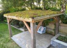 diy green roofs living roof pergola