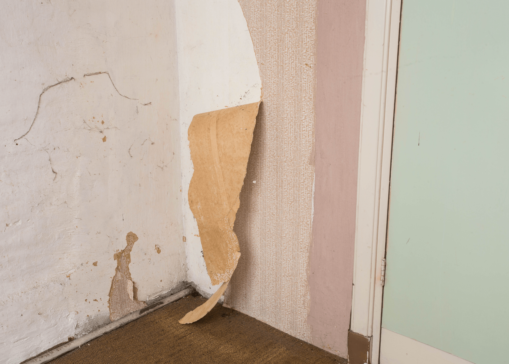 peeling wallpaper