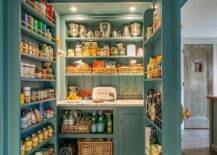 Dual blue pantry doors lined with spice shelves open to a well-organized and stocked pantry. Small kitchen pantry features a small sink paired with a brass, French style faucet as well as vertical blue shiplap trim.