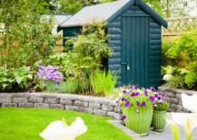 A green shed in the backyard of a house.