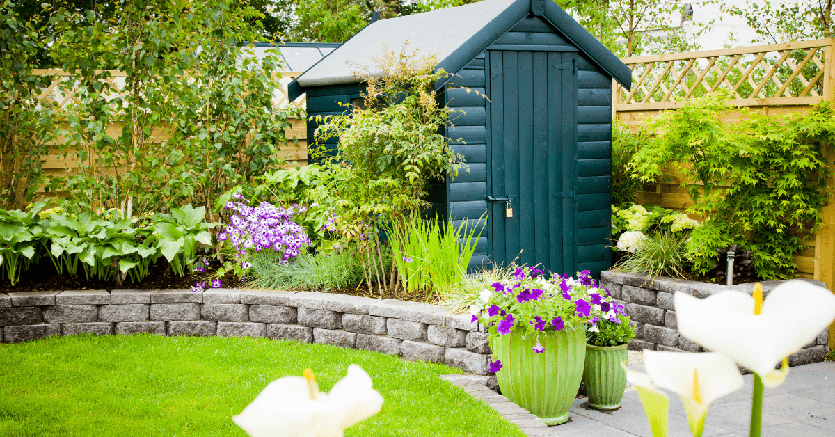 A green shed in the backyard of a house.