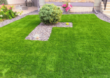 artificial turf in side yard