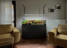 aquarium in living room