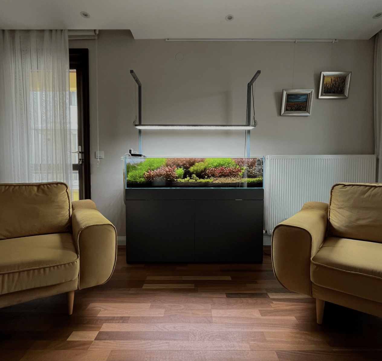 aquarium in living room