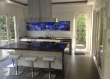 fish tank aquarium in kitchen