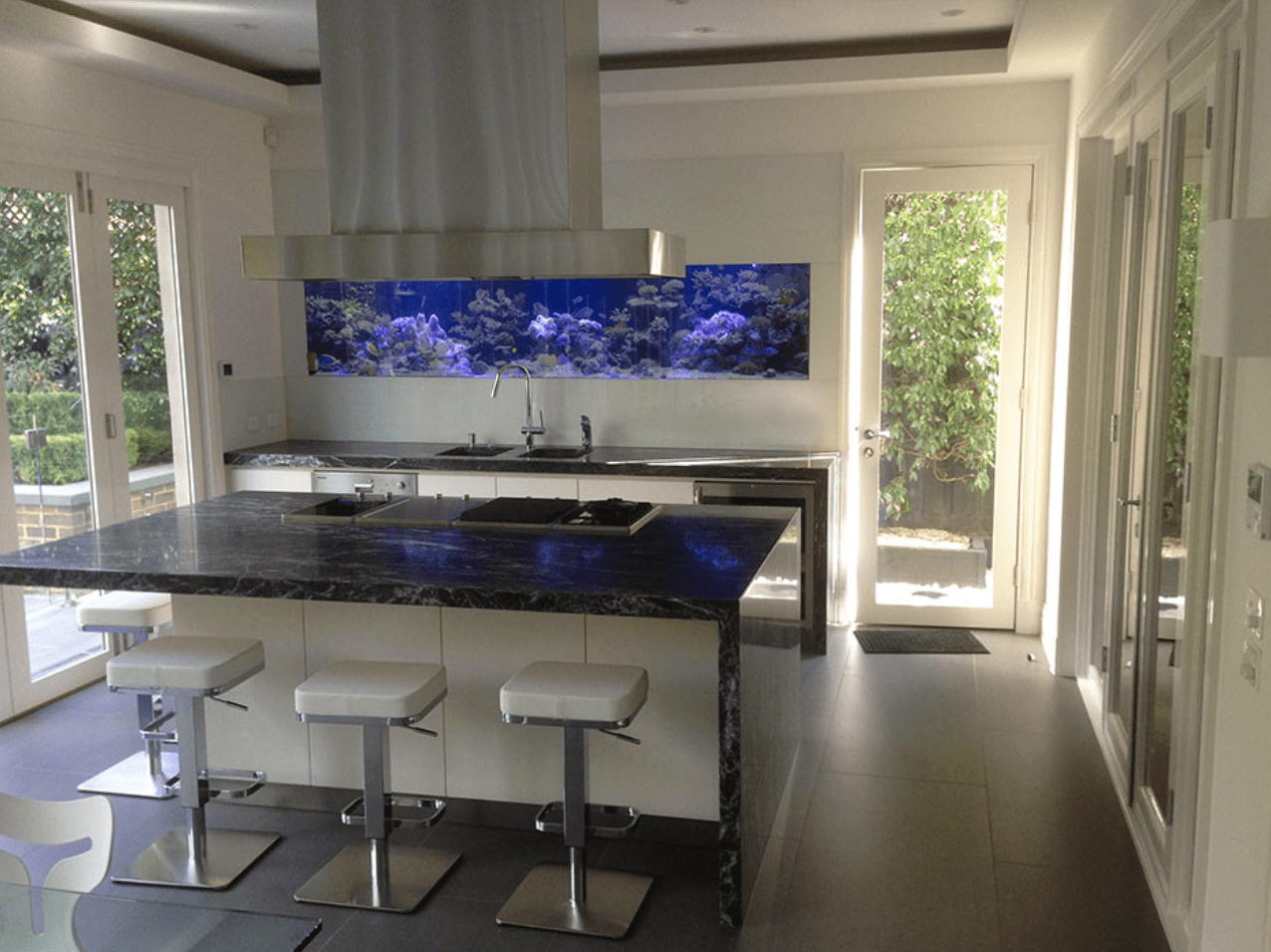 fish tank aquarium in kitchen