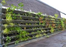 vertical garden in side yard