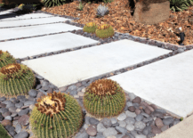 stylish walkway in garden with stones and cactus