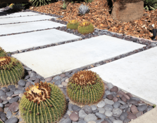 No Grass? No Problem: 7 Creative Ideas for Your Side Yard Without Grass