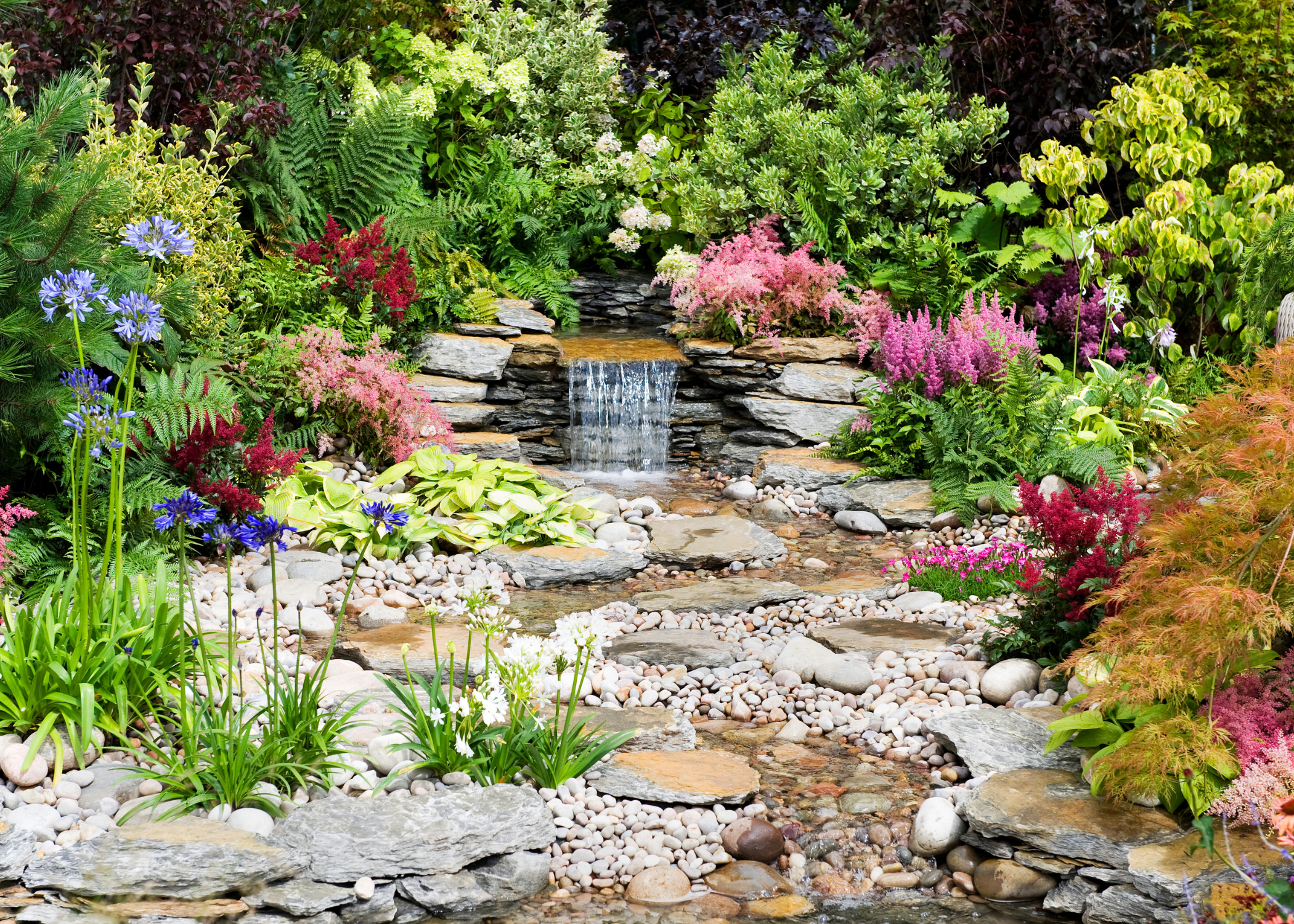 water feature in side yard