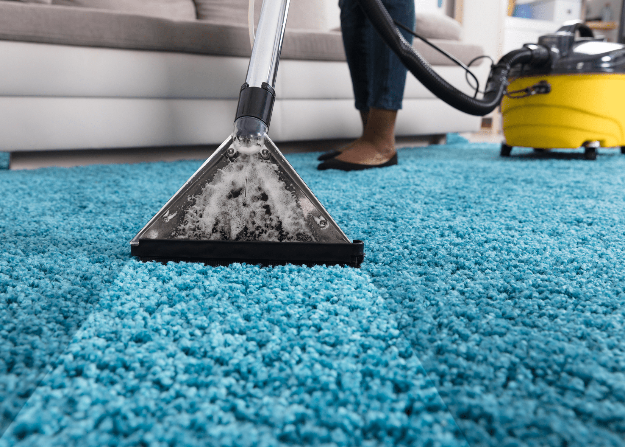 professional cleaning blue area rug