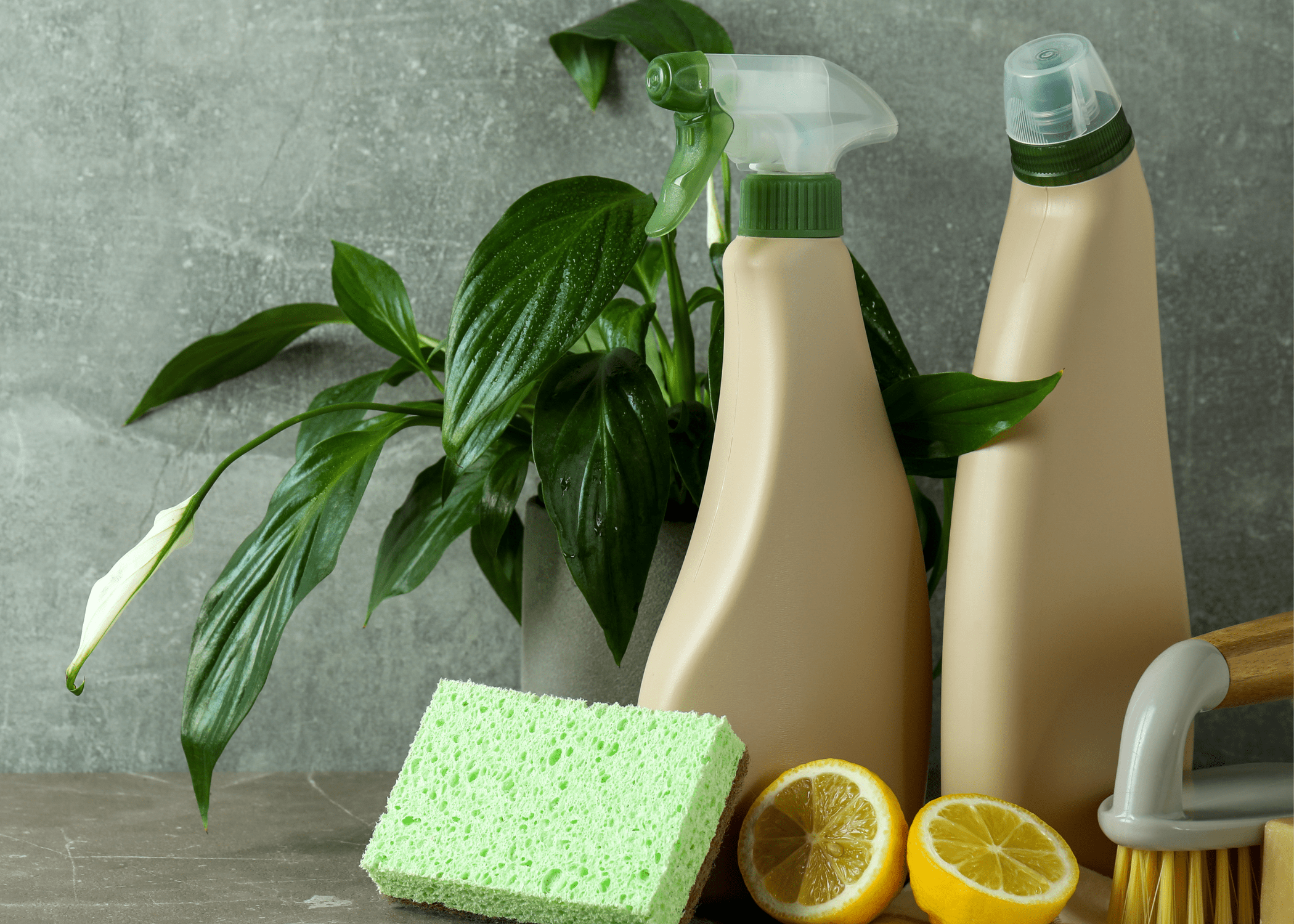 cleaning products with lemon and green plant sponge