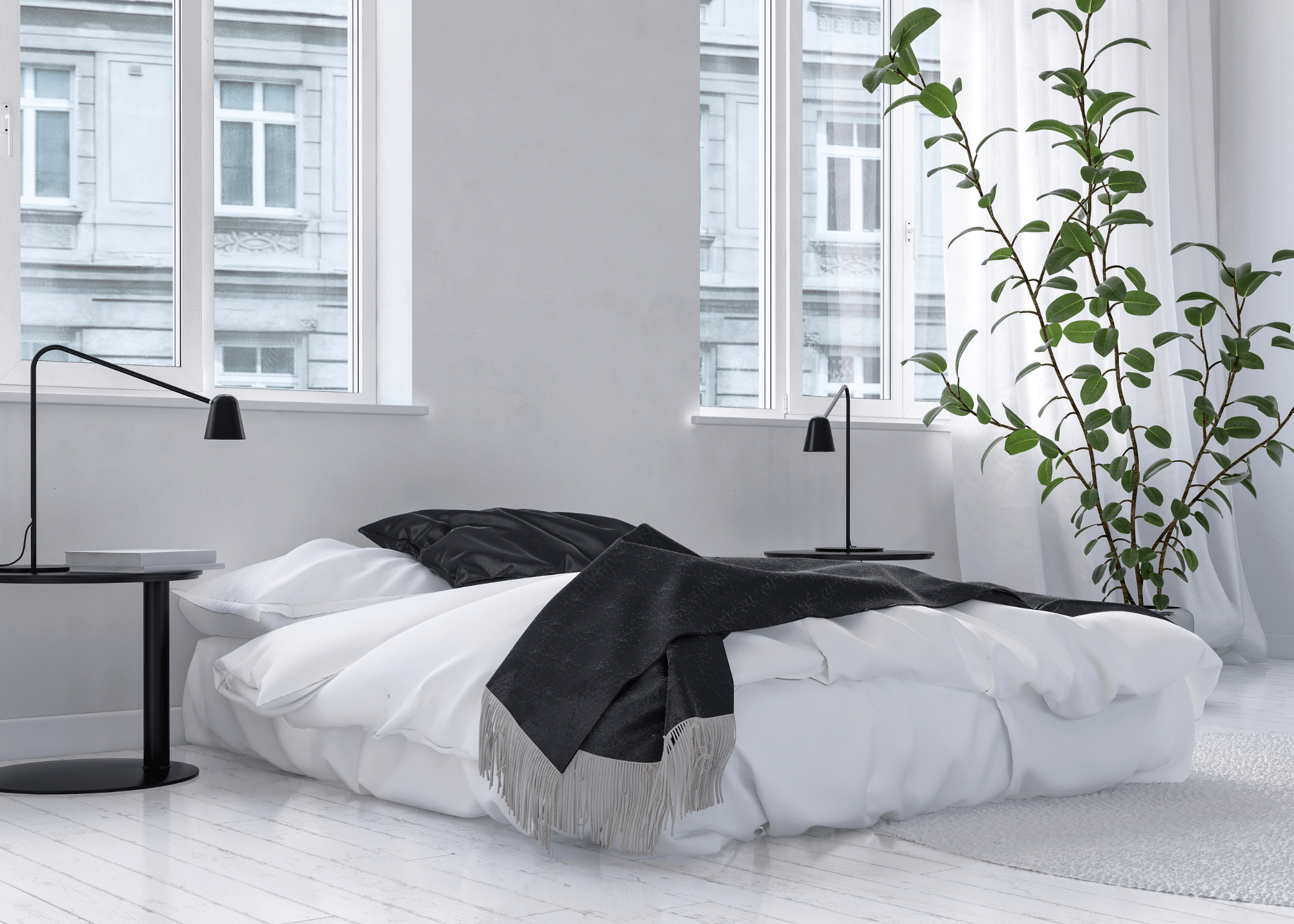 white room with greenery low profile bed