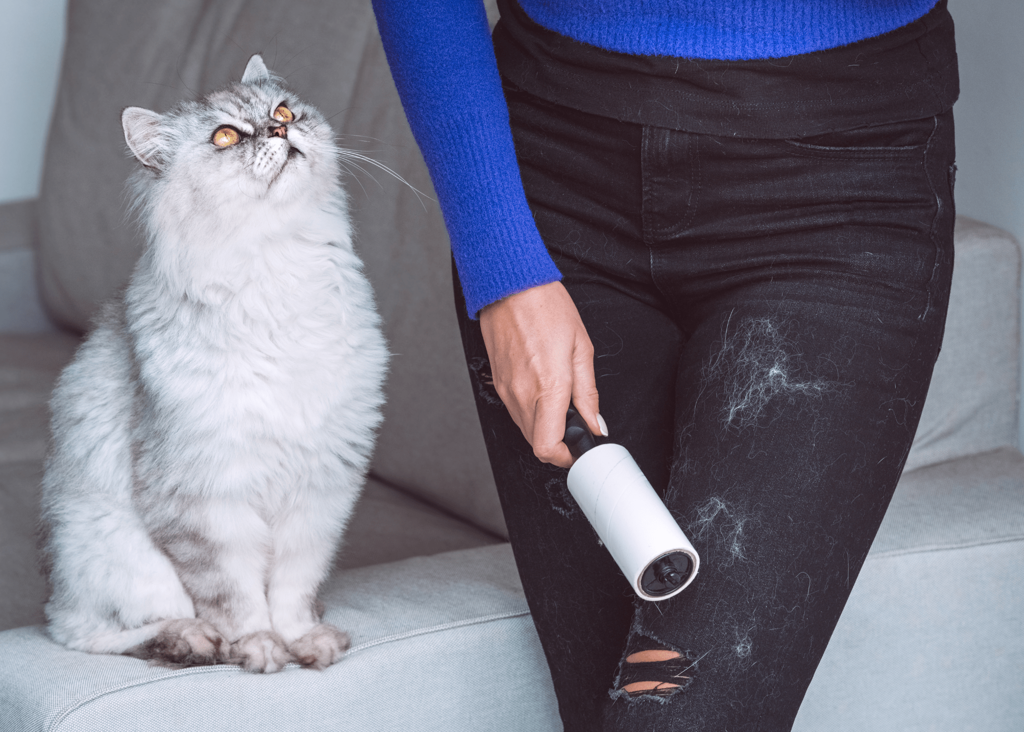 lint roller being used on pants