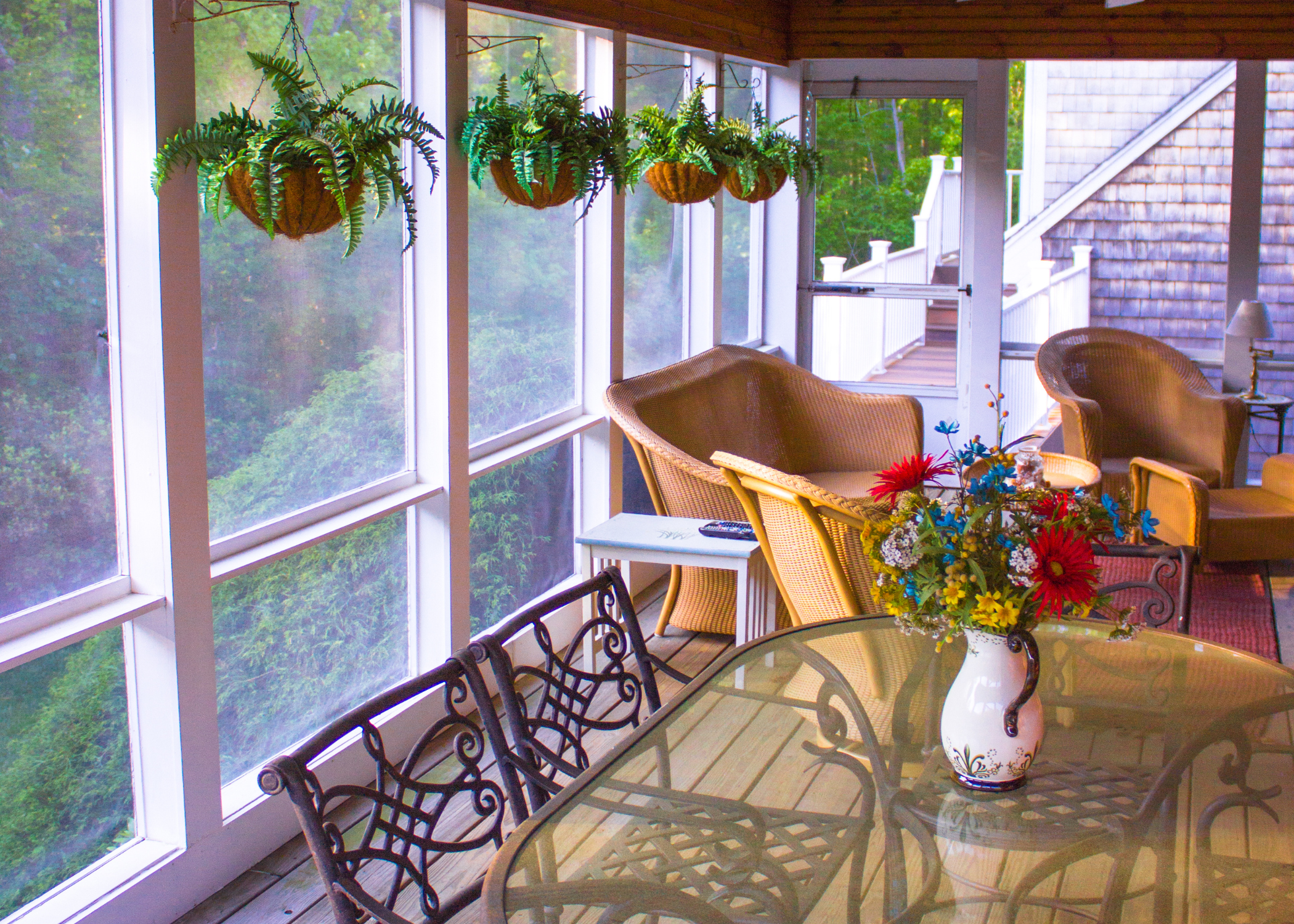 screened in patio with hanging ferns