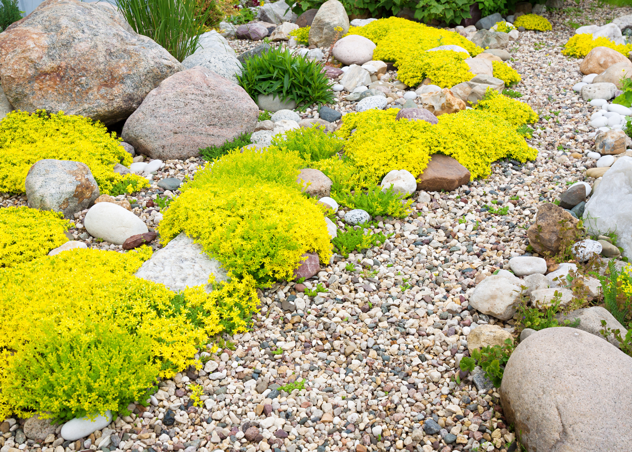 rock garden dry river bed