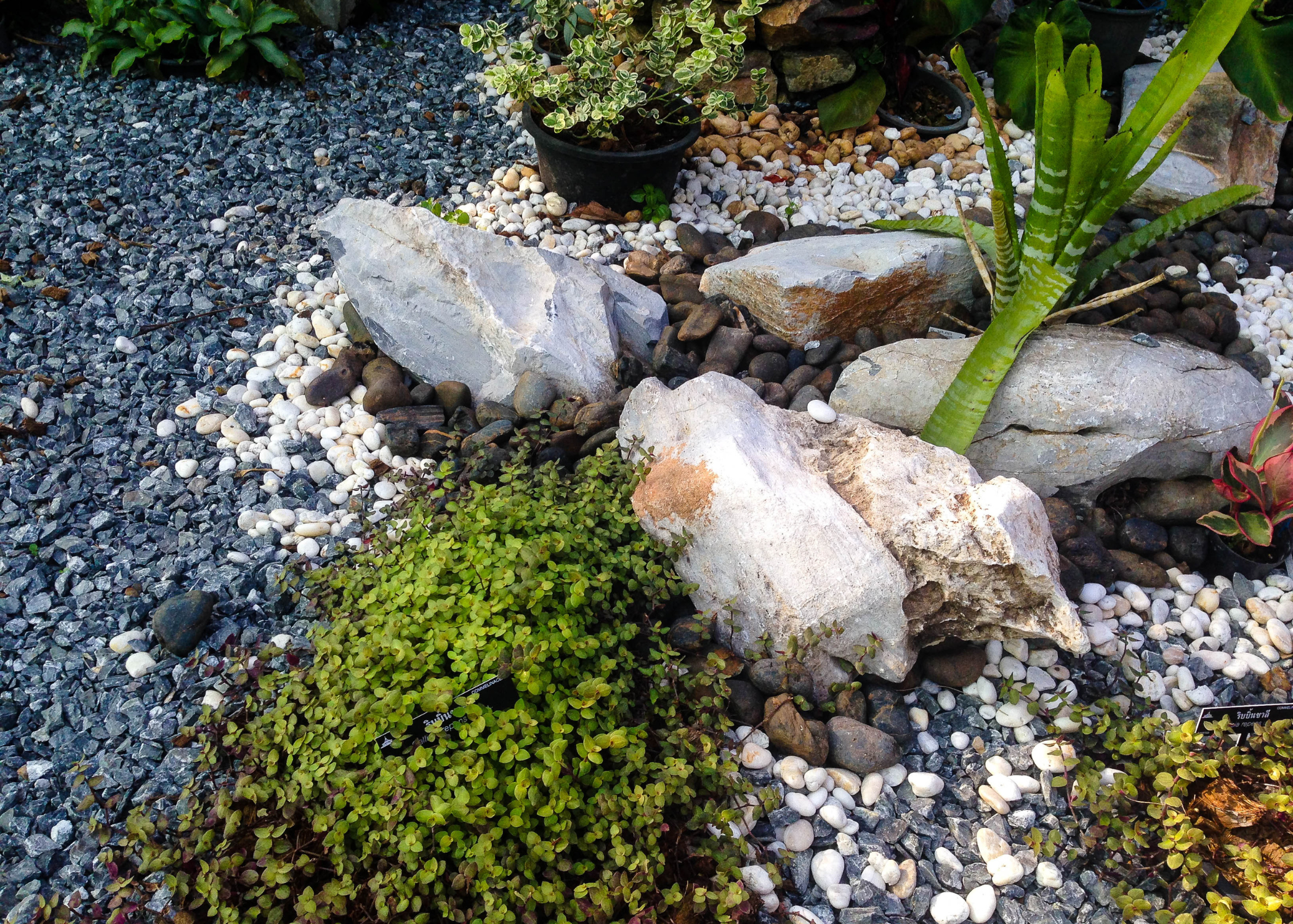 rocks in garden