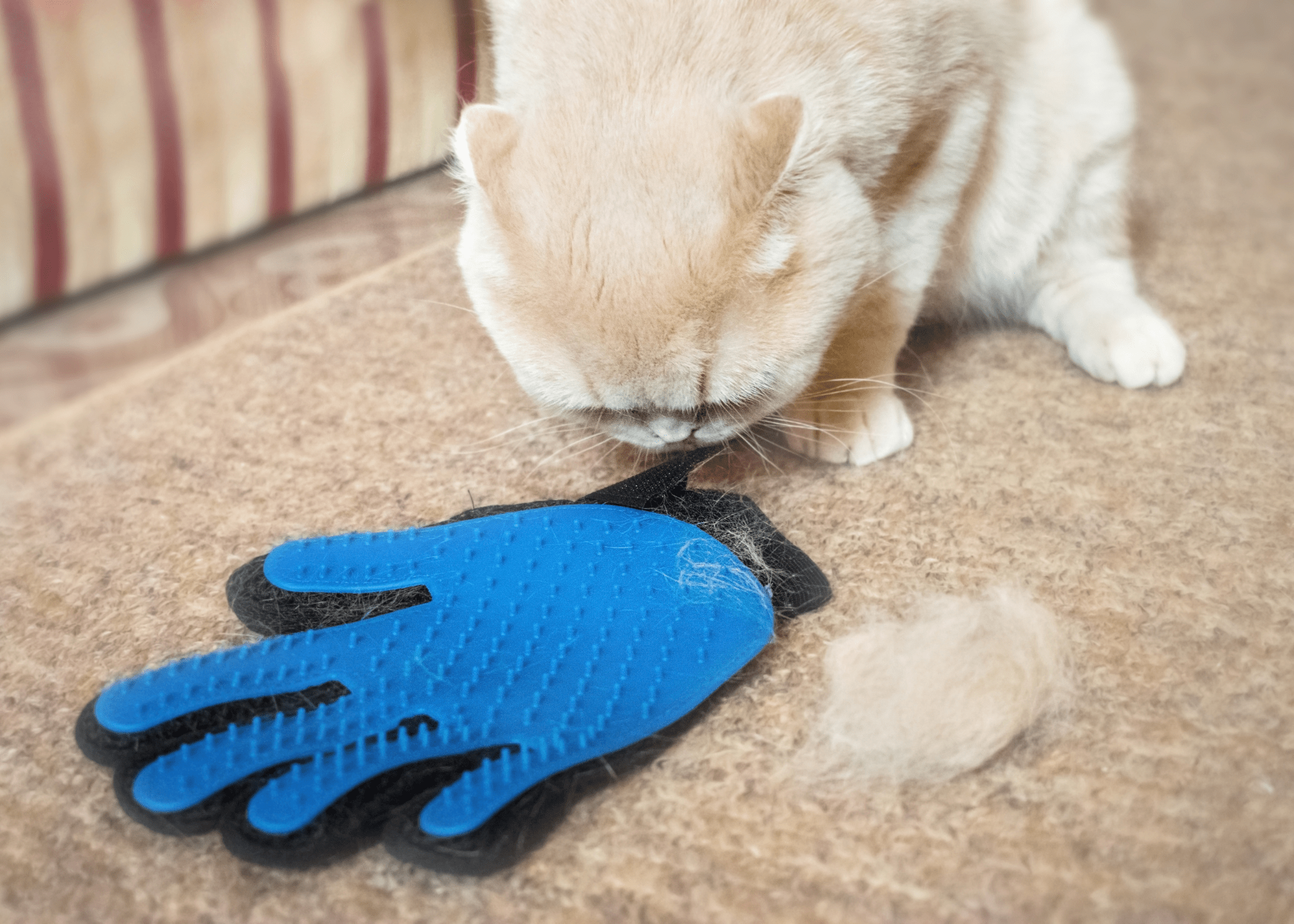 pet hair remover glove