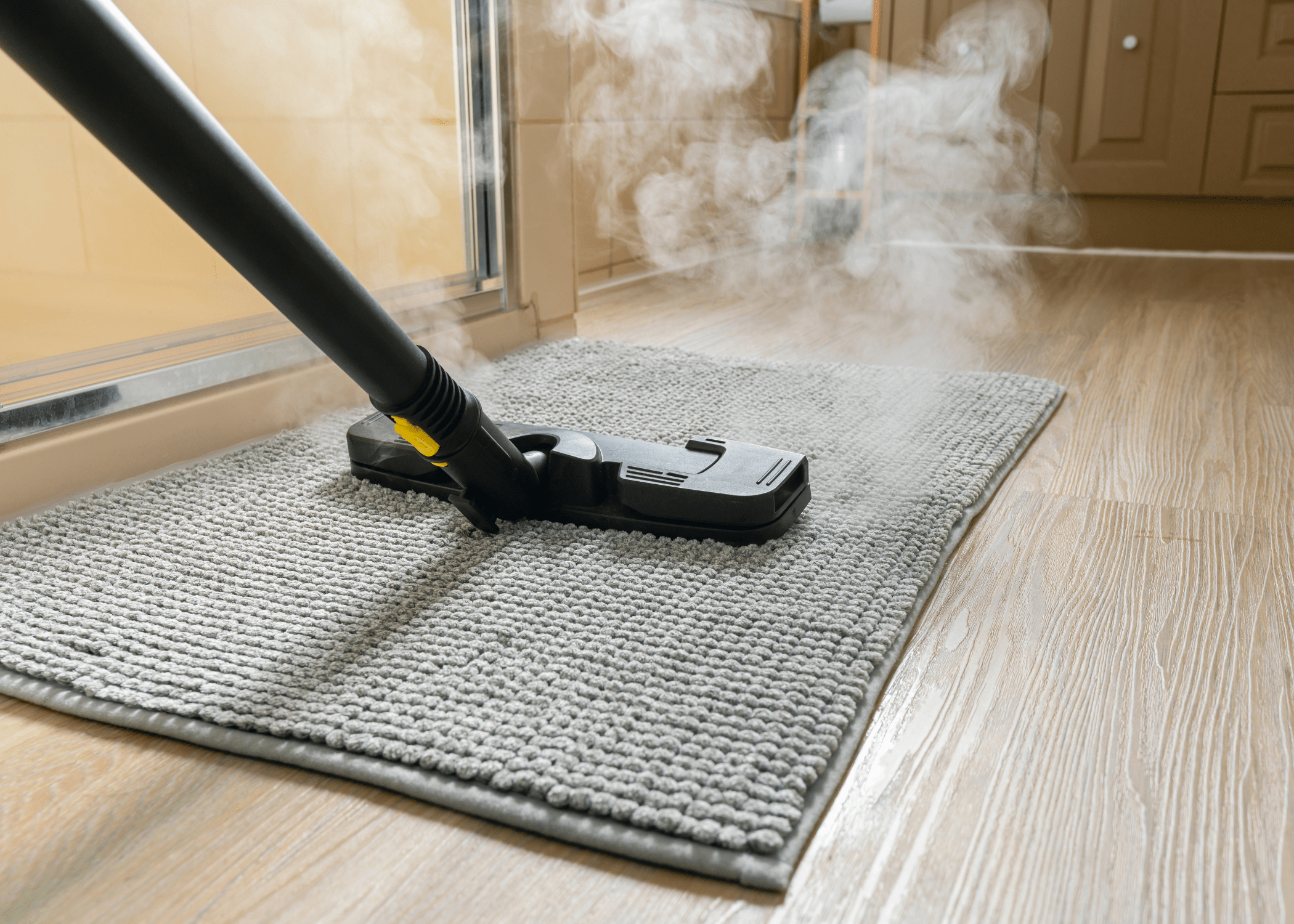 steam cleaning area rug