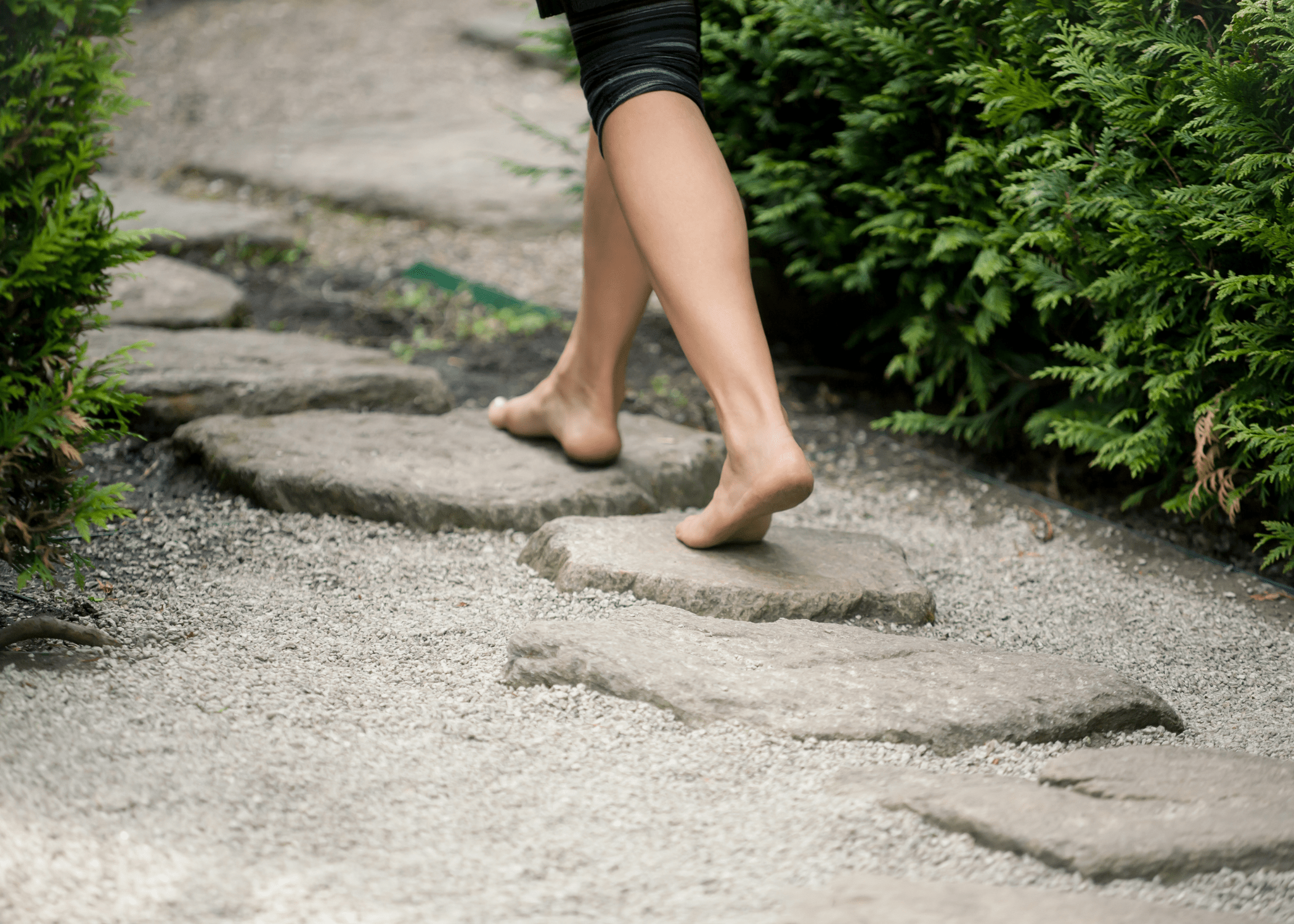 rock stepping stone