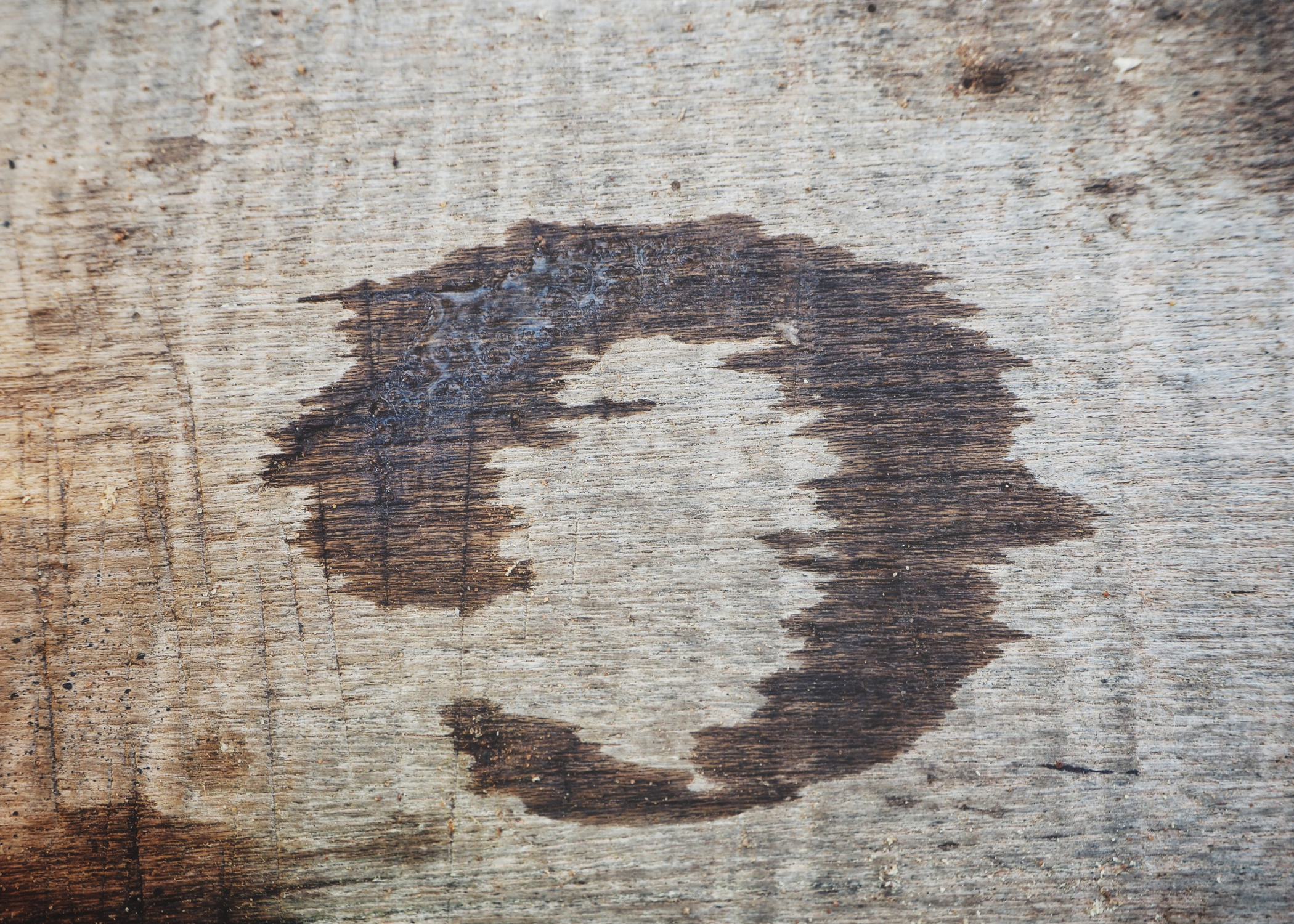 water ring stain on wood table.