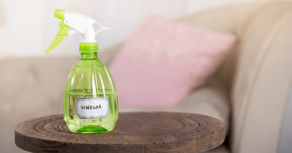 Green vinegar spray bottle.