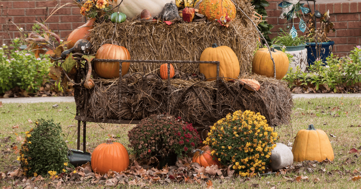 Bushes, plants, and pumpkin decor.