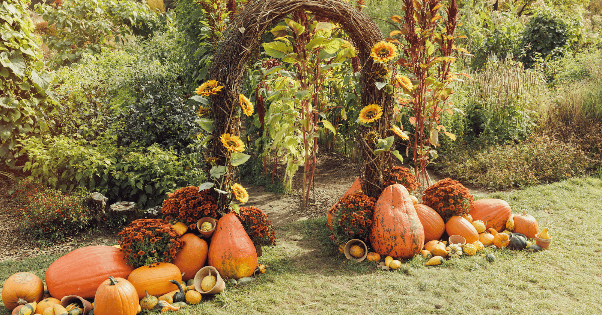 Outdoor fall decor.