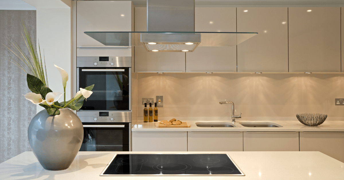 Kitchen island with induction stove top and plant.