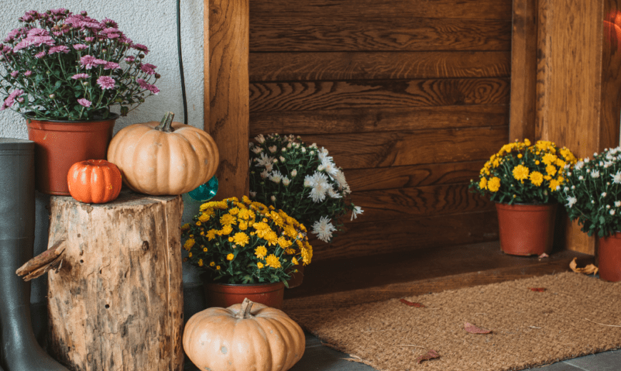 Top Plant Picks for a Fabulous Fall Front Door