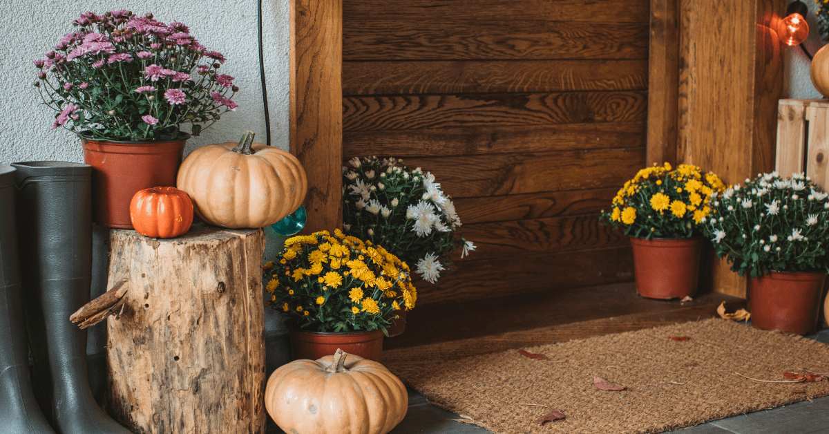 Pumpkins and plants around front door.