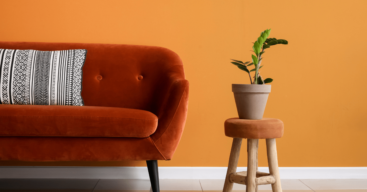 Orange wall and couch beside with a potted plant.