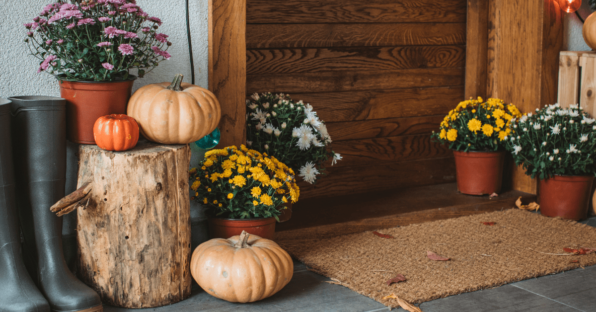 Front door decor with pumpkins.