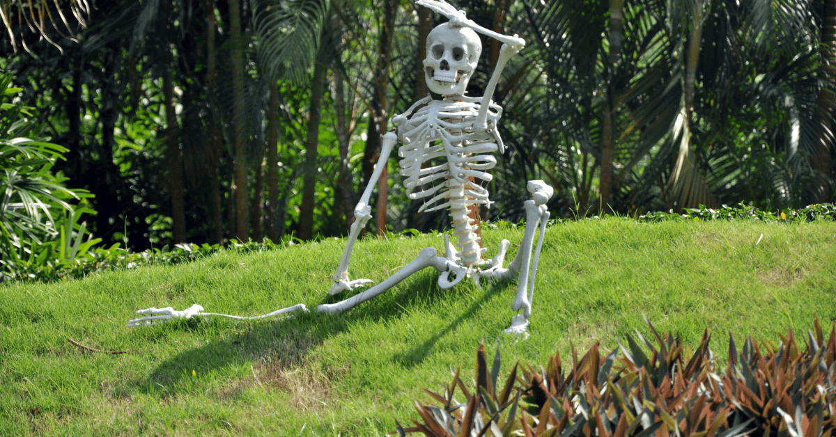 Skeleton on the front yard.