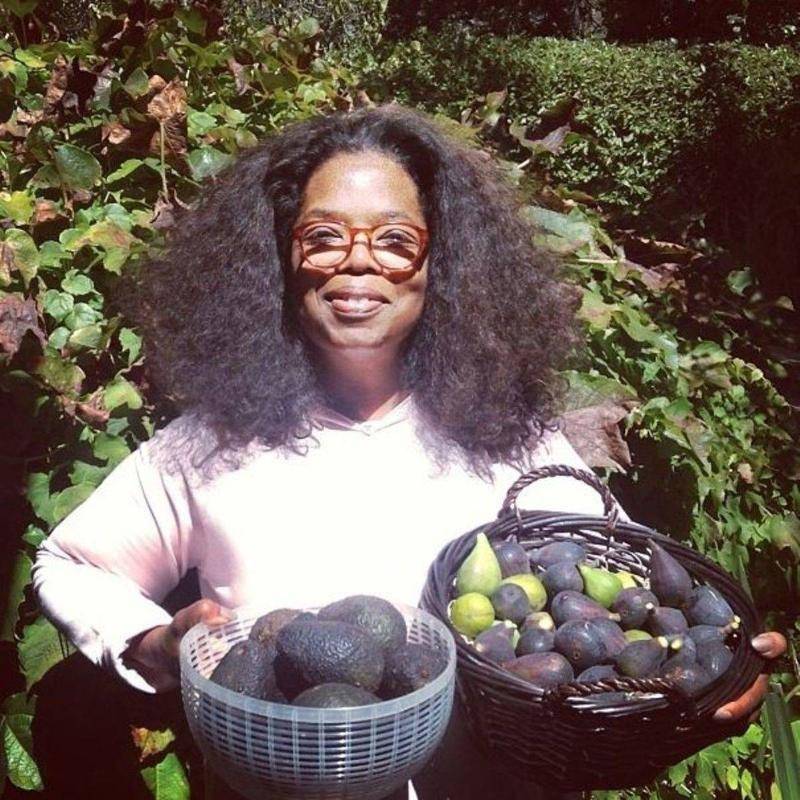 Oprah holding two bowls of avocados.