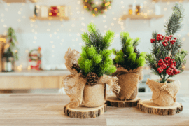 6 Perfect Holiday Plants To Elevate Your Seasonal Decor