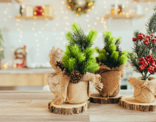 6 Perfect Holiday Plants To Elevate Your Seasonal Decor